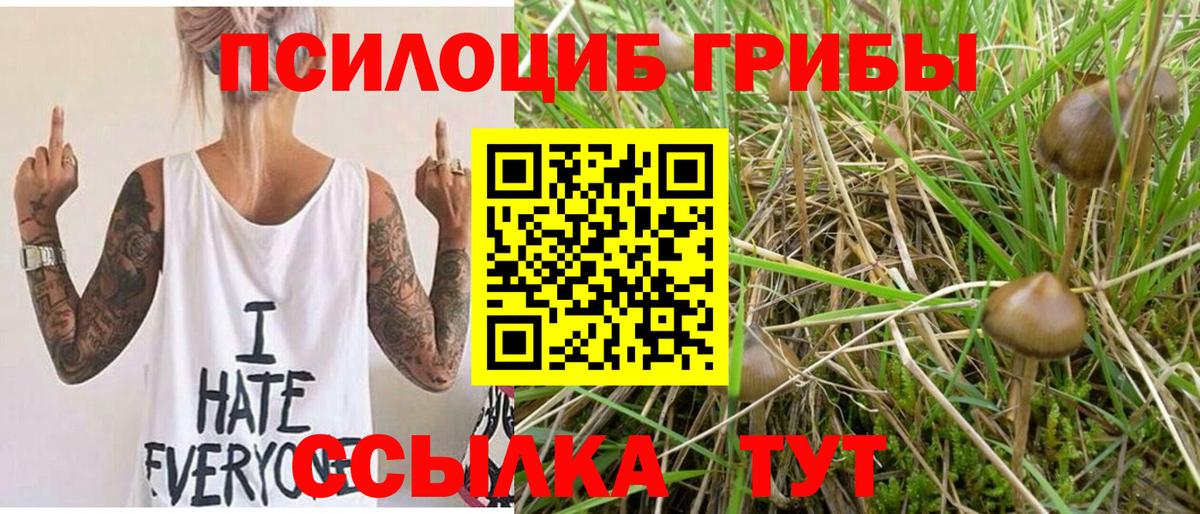 Псилоцибиновые грибы Magic Shrooms Вологда
