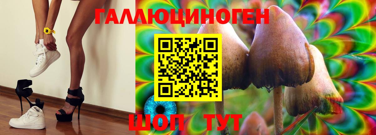 Псилоцибиновые грибы мухоморы  Вход с VPN  Вологда 